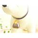 �ڥڥå��ѡ�PETSTEP���٥롡�����٥롡S��