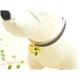�ڥڥå��ѡ�PETSTEP���٥롡����䡼���������