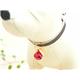 �ڥڥå��ѡ�PETSTEP���٥롡����䡼����å�
