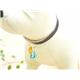 �ڥڥå��ѡ�PETSTEP���٥롡�ƥ����ɥ��åס��饤�ȥ֥롼