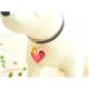 �ڥڥå��ѡ�PETSTEP���٥롡�ϡ��ȥ��ꥢ����å�