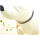 �ڥڥå��ѡ�PETSTEP���٥롡�ѡ��롡�ۥ磻��