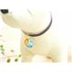 �ڥڥå��ѡ�PETSTEP���٥롡��ե쥯�������饤�ȥ֥롼