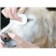 �ڥڥå��ѡ�alt���ס����ե����������å��塡125ml