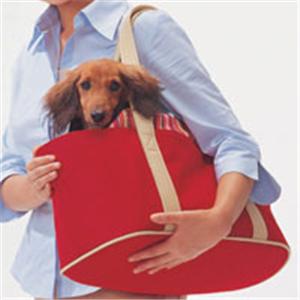 �ڥڥå��ѡۥ����ꥹ�����Ǥ�������꡼���ȡ��ȥХå���450����å�
