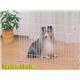 �ڥڥå��ѡۥ����ꥹ�������ƥࡡ�������롡4�̡�ST-600A