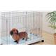 �ڥڥå��ѡۥ����ꥹ�������ƥࡡ��������ȥ졼�դ���ST-600TN