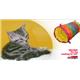 �ڥڥå��ѡۥ��åɥ��������ڥåȥ��ơ���������åȡ����ɥ롡�����롡PTPS0302