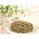 �ڥڥå��ѡۥ桼���̥С�����åȡ����˥���350g