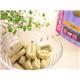 �ڥڥå��ѡۥ桼���̥С��Ҹ��ѥإ륷���ӥ����åȡ�500g