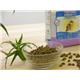�ڥڥå��ѡۥ�����륫�ʥ󡡥饤�ȡ�38��400g