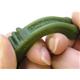 �ڥڥå��ѡ������ʡ�Greenies������ˡ������ƥ����ˡ���340g