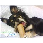 �y�y�b�g�p�z�؂̂�������@�t�F�b�`�iFETCH�j�@S