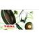 T-FAL�i�e�B�t�@�[���j�@�C���W�j�I�@�{�g���O���[���@�K���X�Ԃ��@18cm�p
