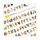 THE��CAT�������ǡ�2008ǯ����������  �����륹������CAT