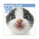 THE��CAT�������ǡ�2008ǯ���������� �����ƥ��å��塦�ե������