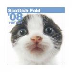 THE CAT 国内版 2008年 カレンダー スコティッシュ・フォールド