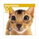 THE��CAT�������ǡ�2008ǯ���������� ���ӥ��˥���