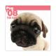 THE��DOG�������ǡ�2008ǯ���������� �ѥ�