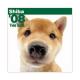 THE��DOG�������ǡ�2008ǯ���������� ��