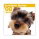 THE��DOG�������ǡ�2008ǯ���������� �衼�����㡼���ƥꥢ