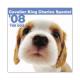 THE��DOG�������ǡ�2008ǯ���������� ����Хꥢ�����󥰡����㡼�륺�����ѥ˥���