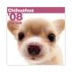 THE��DOG�������ǡ�2008ǯ���������� �����