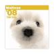 THE��DOG�������ǡ�2008ǯ���������� �ޥ������
