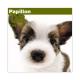 THE��DOG�������ǡ�2008ǯ���������� �ѥԥ��