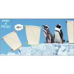 pegu�ʥڥ��� 20 �����ȥܥå����ʥ���Ȣ�ˡ������