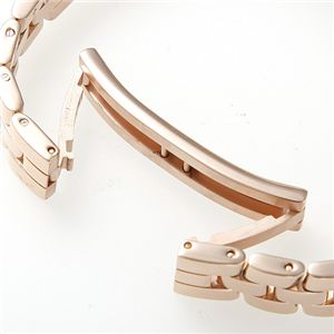 Folli Follie ブレスウォッチ WF8B026BPS