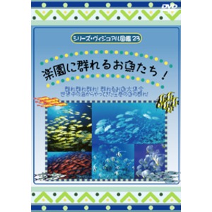 KIDSいろんな生き物DVD4本セット＋オマケ付！ 
