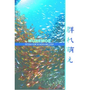 厳選！世界の海ＤＶＤセット