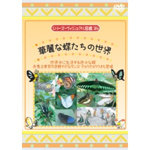 KIDSのための東南アジアDVD5本セット＋オマケ付！