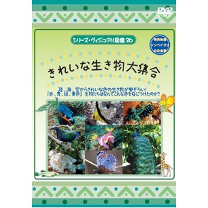 KIDSのための東南アジアDVD5本セット＋オマケ付！