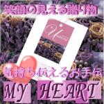 �ޥ��ϡ��ȡ���˥С���������