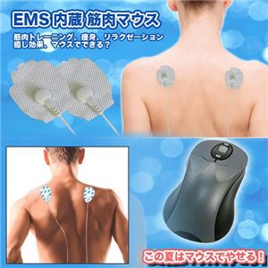 EMS内蔵 筋肉マウス