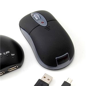 ���C�����X�}�E�X�t��