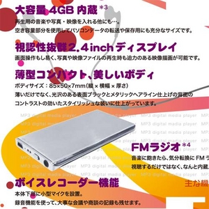 MP3デジタルメディアプレーヤー DS-MP124