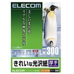 GR ꂢȌ EJK-GAL300