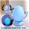 �N�c�̏��ہE���L�E�����@ PURE-100N 