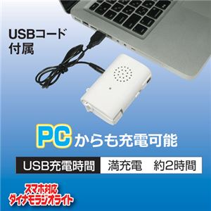 旭電機化成 スマホ対応ダイナモラジオライト 809641