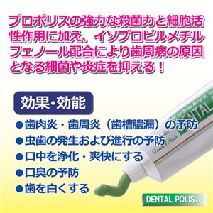 日本ゼトック 薬用歯磨き　デンタルポリスDX 803269