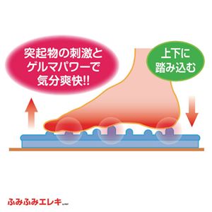 シンエイテクノ ふみふみエレキ 809945