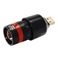 i܂Ƃ߁j{gXgeNmW[ USB LED LIGHT ZOOM USBLEDZOOMy~3Zbgz