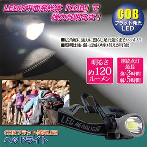 (まとめ)福昌 COBフラット発光LEDヘッドライト 810841【&times;3セット】