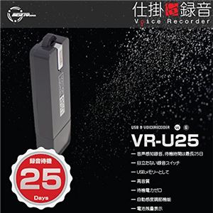 ベセトジャパン 仕掛け録音ボイスレコーダー VR-U25GR
