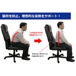 サンコー ラクラクな腰サポートグッズ LUMBAR MATEは運転中の腰痛対策に