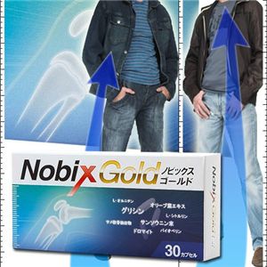 ノビックス ゴールド