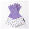 GLOVEABLES(O[ouY) EHbVOO[u 506EEyDOTzLavender/Lavender
